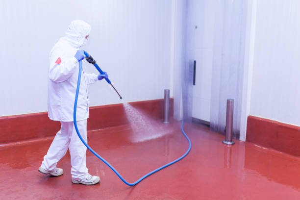 Best Roof Cleaning and Mildew Removal in Brownsville, FL